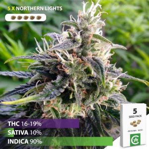 Buy Northern Lights Cannabis Seeds for sale South Africa