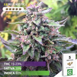 Buy Blue Mystic cannabis seeds for sale in South Africa