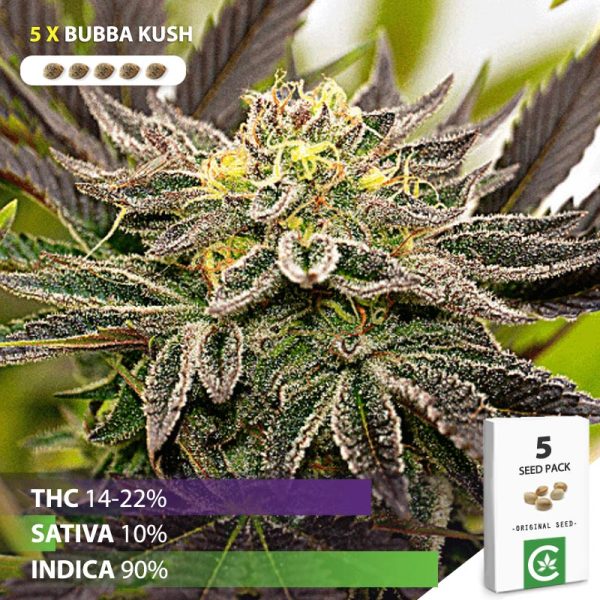 Buy Bubba Kush seeds for sale IN South Africa