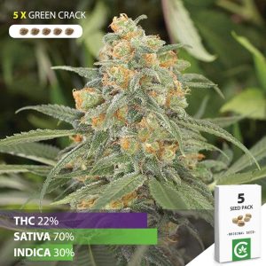 buy Green crack cannabis seeds for sale south africa 5 pack